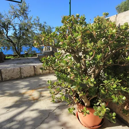 By The Sea Tri Zala, Korcula - 174 *