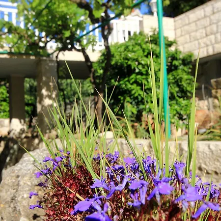 By The Sea Tri Zala, Korcula - 174 Appartamento