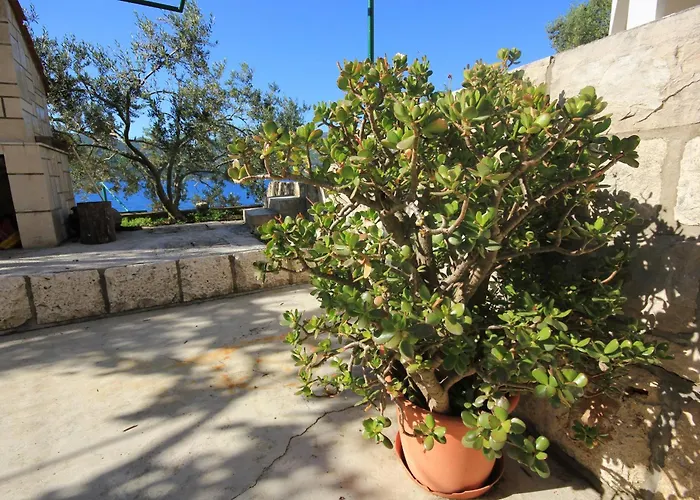 By The Sea Tri Zala, Korcula - 174 *