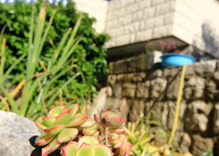 Appartamento By The Sea Tri Zala, Korcula - 174 *