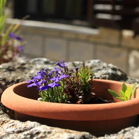 By The Sea Tri Zala, Korcula - 174 アパート *