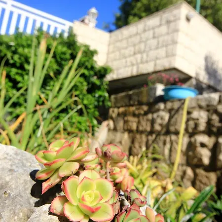 アパート By The Sea Tri Zala, Korcula - 174 *